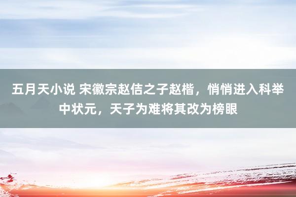 五月天小说 宋徽宗赵佶之子赵楷，悄悄进入科举中状元，天子为难将其改为榜眼