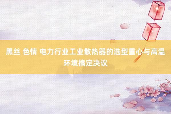 黑丝 色情 电力行业工业散热器的选型重心与高温环境搞定决议
