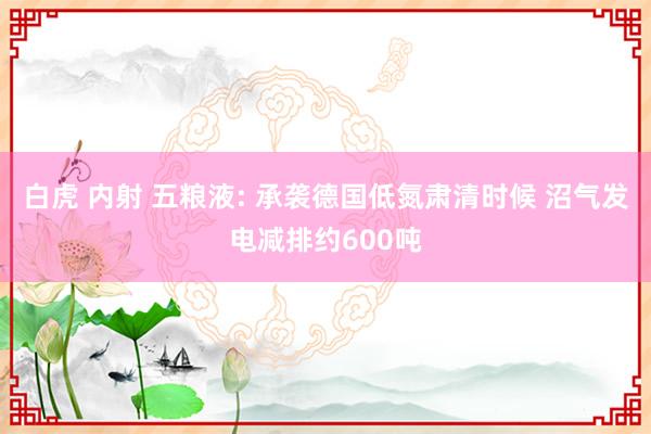 白虎 内射 五粮液: 承袭德国低氮肃清时候 沼气发电减排约600吨