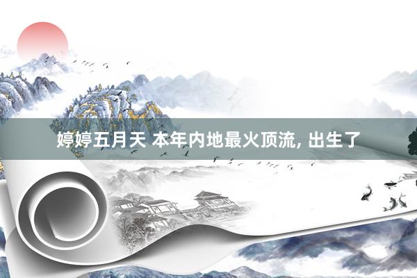 婷婷五月天 本年内地最火顶流， 出生了