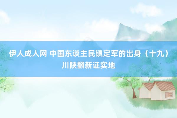 伊人成人网 中国东谈主民镇定军的出身（十九）川陕翻新证实地