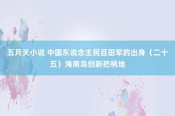 五月天小说 中国东说念主民目田军的出身（二十五）海南岛创新把柄地