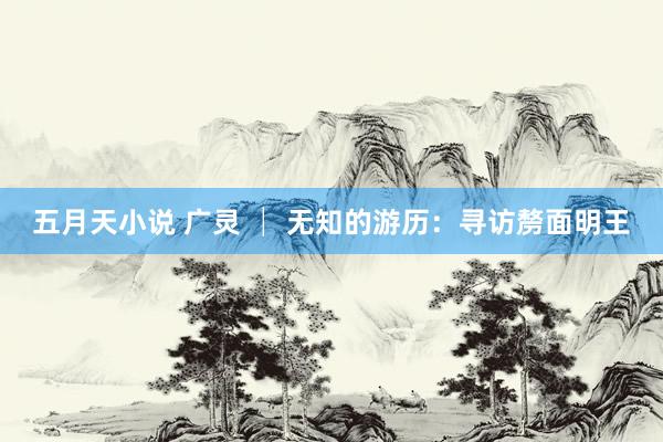 五月天小说 广灵 │ 无知的游历：寻访剺面明王