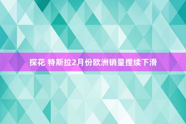 探花 特斯拉2月份欧洲销量捏续下滑