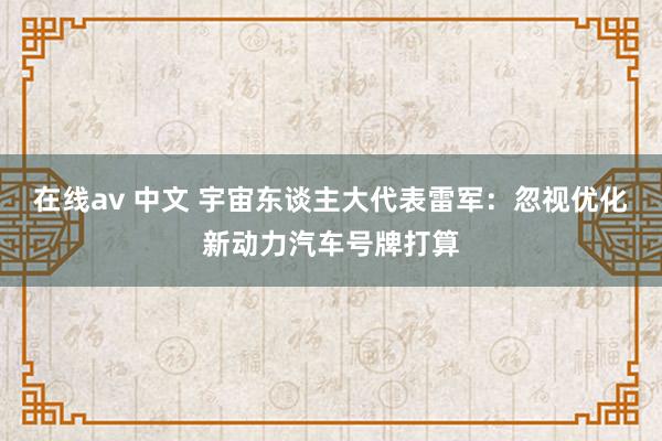 在线av 中文 宇宙东谈主大代表雷军：忽视优化新动力汽车号牌打算